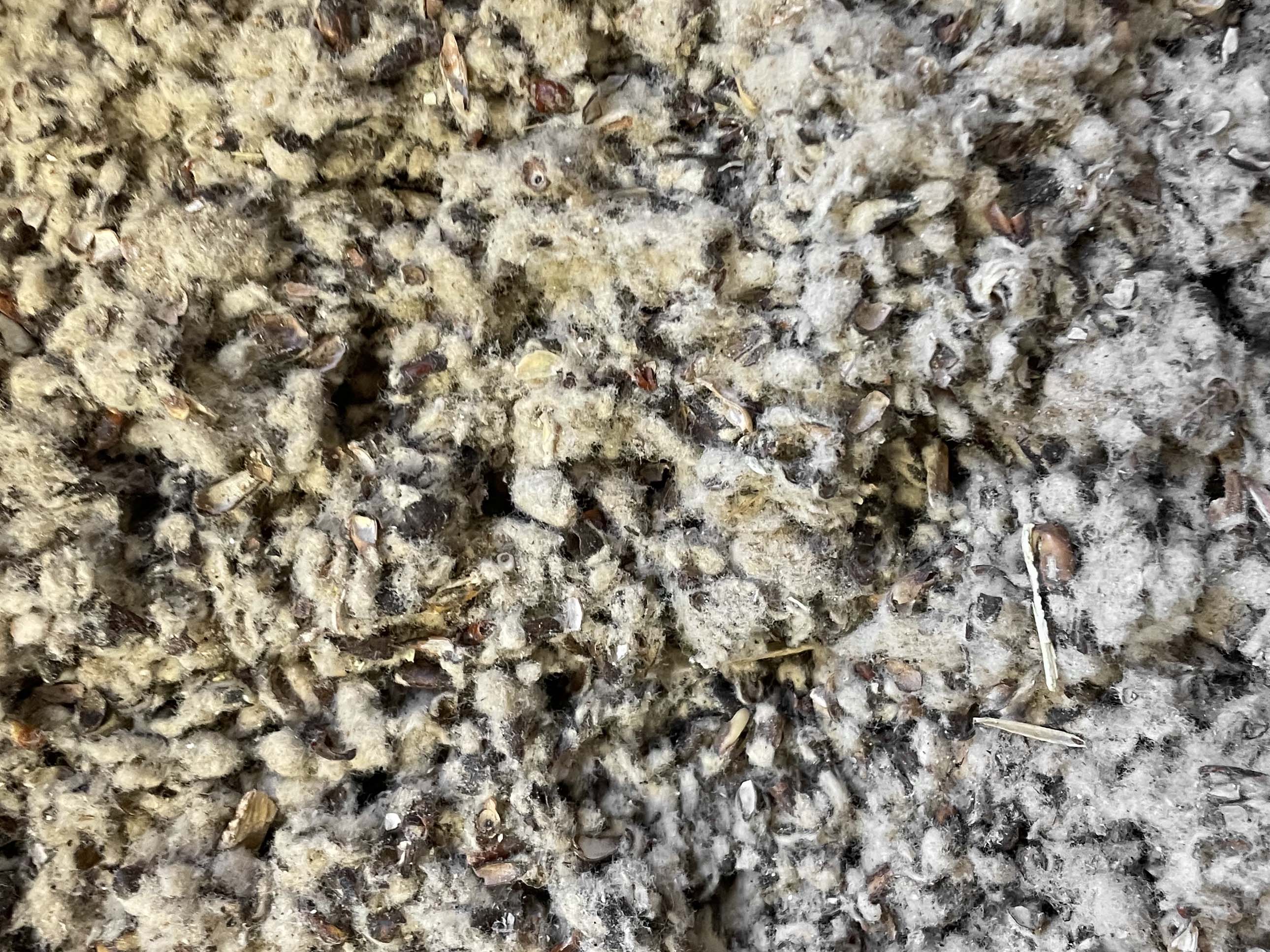 cotton seed hull for garden Cotton Seed Hulls, Landscape, Garden Amendment, 1 Cubic Foot