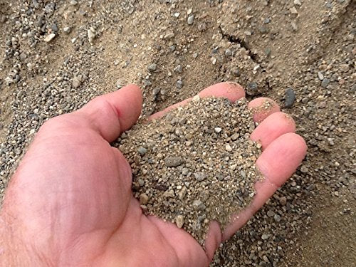 cactus palm soil Mighty 109 Cactus, Palm and Succulent Growing Soil