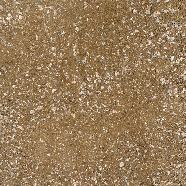 Oyster Shell Gold Fines Bocce Blend