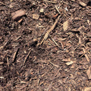 Natural Forest Floor Mulch, Ground Cover for Garden and Landscape, 42 Quart