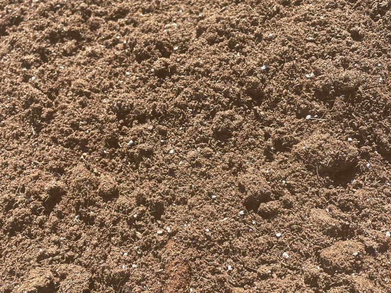 sandy potting mix All Purpose Potting Mix