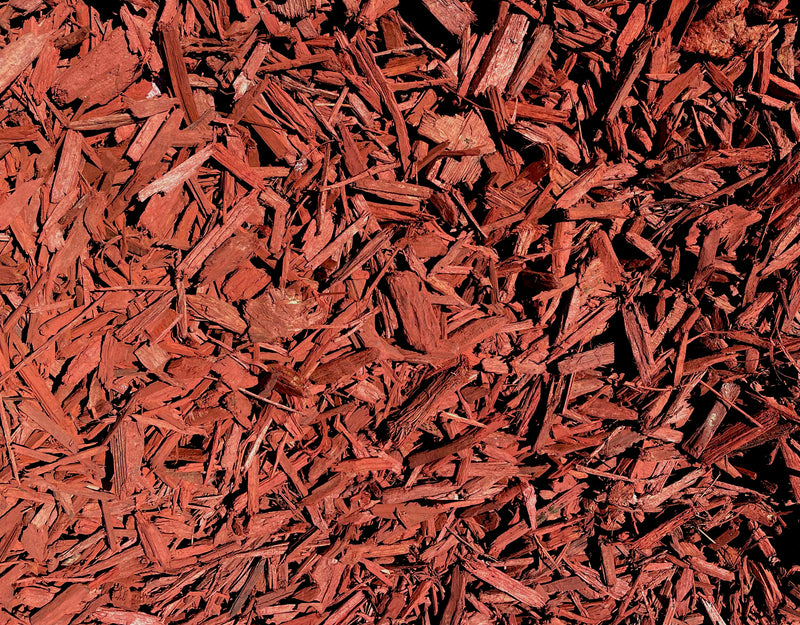 MIGHTY109 Mantillo de astillas de madera de color rojo furioso - ¡42 cuartos! Mantillo de paisaje coloreado.