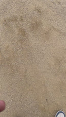 MIGHTY109 DG SPARLE. 