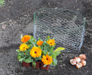 BULK RootGuardTM 3-Gallon Heavy Duty Gopher Wire Baskets (48 Baskets Total)