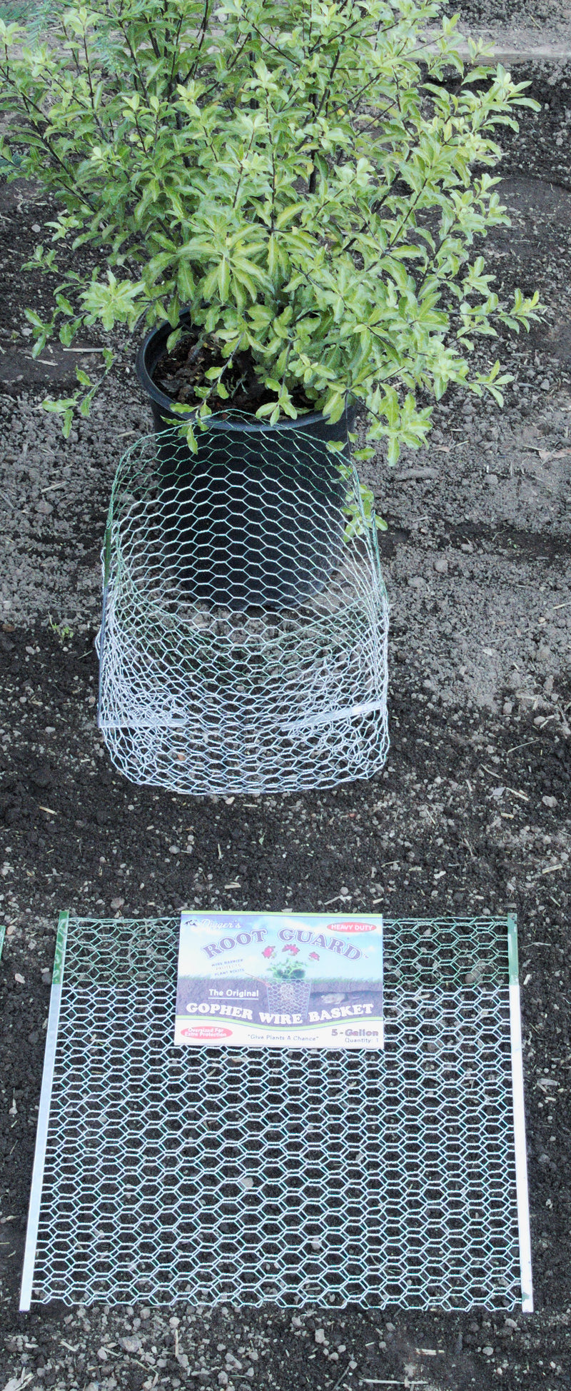 BULK RootGuardTM 5-Gallon Heavy Duty Gopher Wire Baskets (36 Baskets Total)