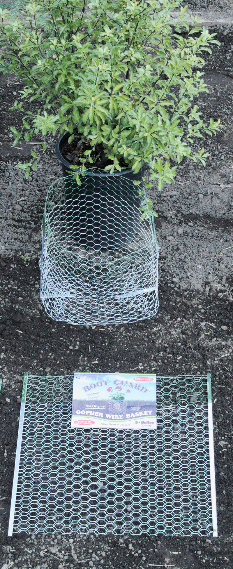 12 QTY Digger's RootGuardTM 5-Gallon Heavy Duty Gopher Wire Baskets
