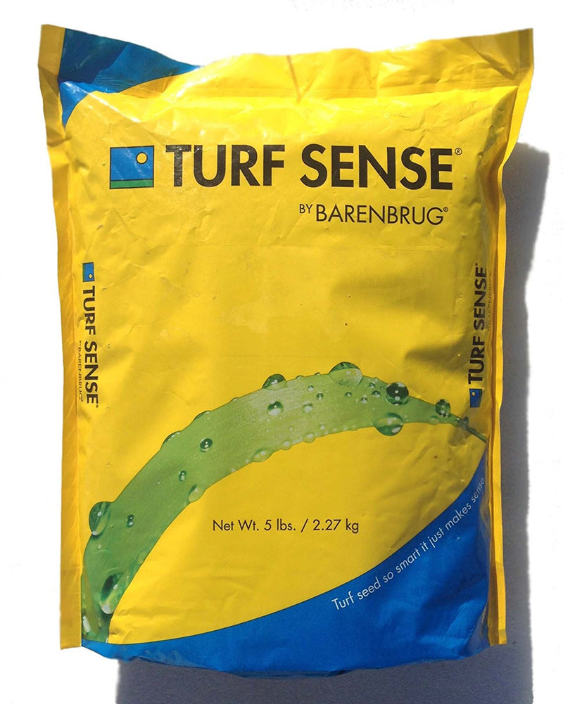 MIGHTY109 Plus Fescue Bluegrass (90/10) Seed Blend 5 LBS (Covers Up to 500 Square Feet)