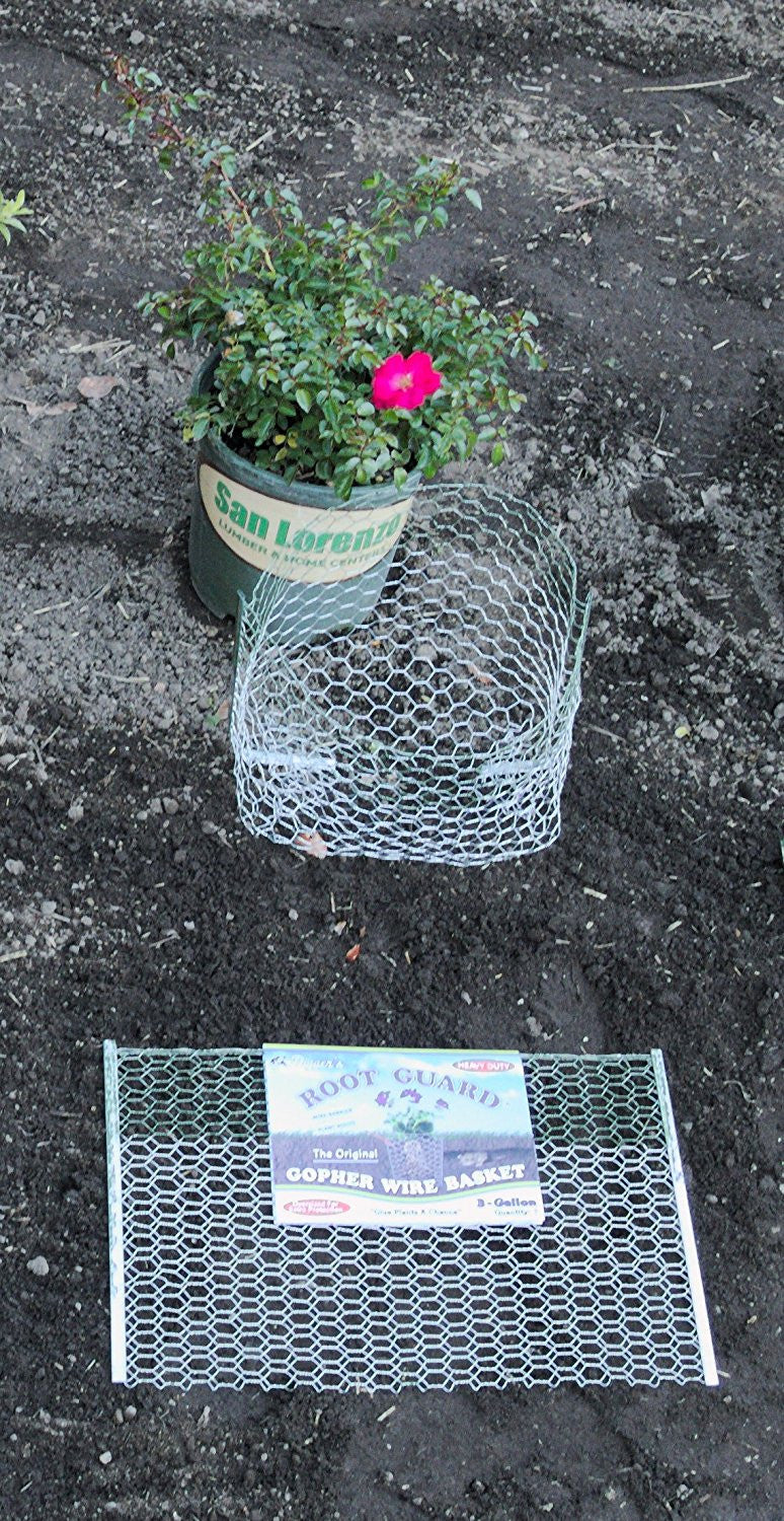 12 QTY Digger's RootGuardTM 3-Gallon Heavy Duty Gopher Wire Baskets