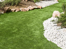 MIGHTY109 "Bluegrass" Premium Artificial Turf
