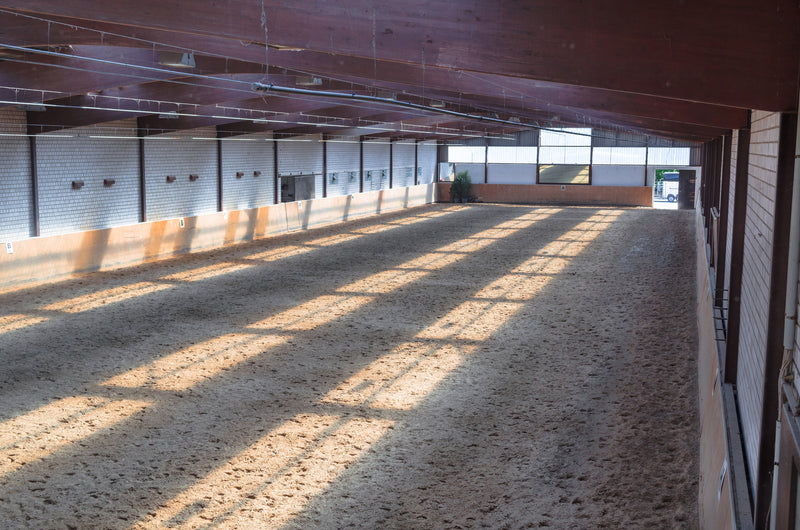 BULK MIGHTY109 Arena Sand