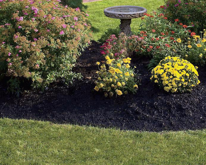 Mighty 109 Bold Black Mulch (42 Quarts)