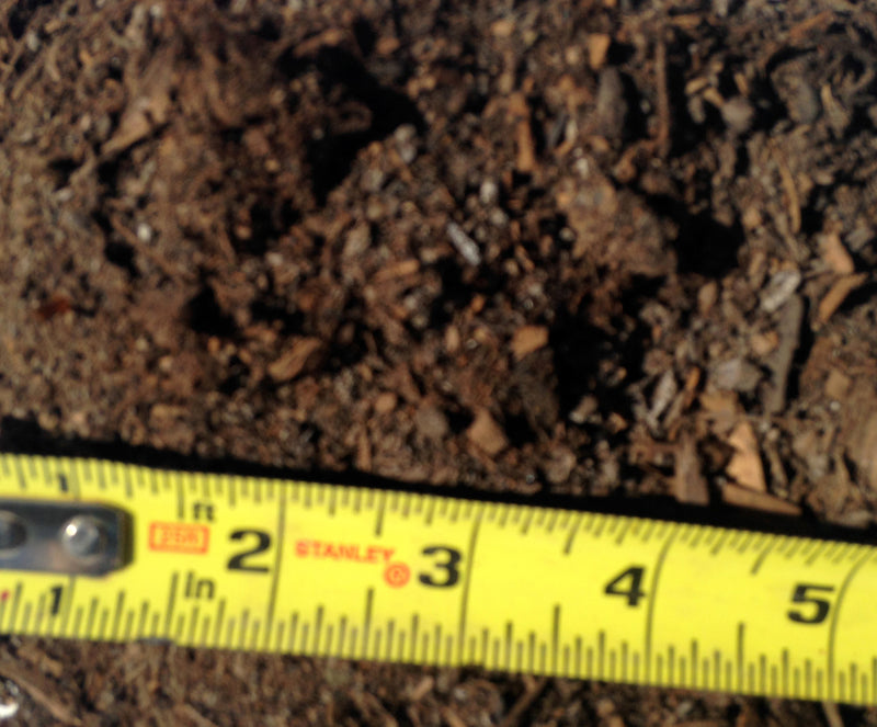 MIGHTY109 Premium Black Gold Chicken Manure