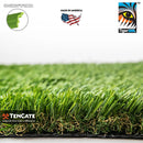 Diamond Light Fescue Artificial Turf