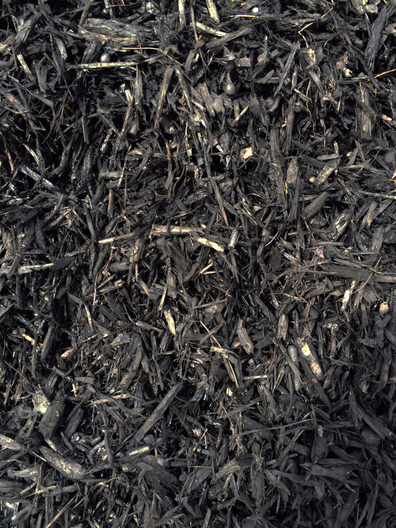 BULK MIGHTY109 Bold Black Mulch