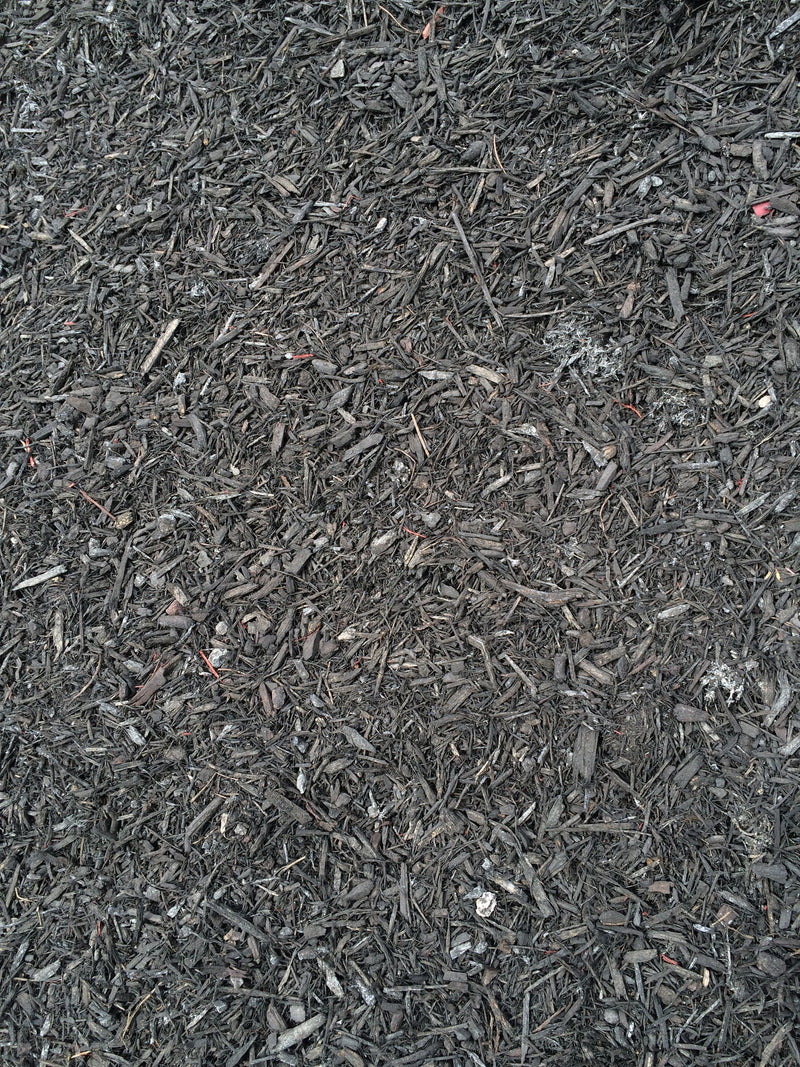 BULK MIGHTY109 Bold Black Mini Mulch