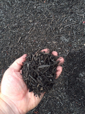 BULK MIGHTY109 Bold Black Mini Mulch