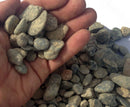MIGHTY 109 Greys Too Premium Pea Gravel