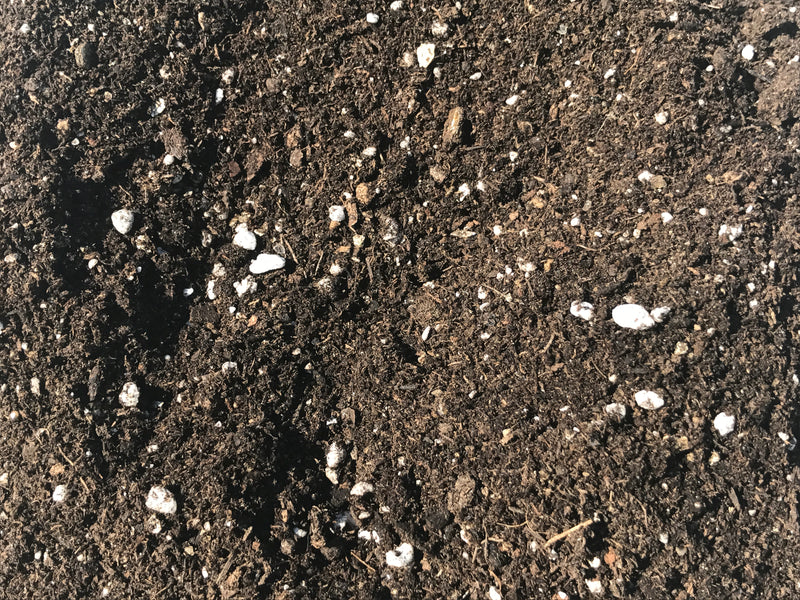 MIGHTY 109 "Wowza" Sod Preparation Mix