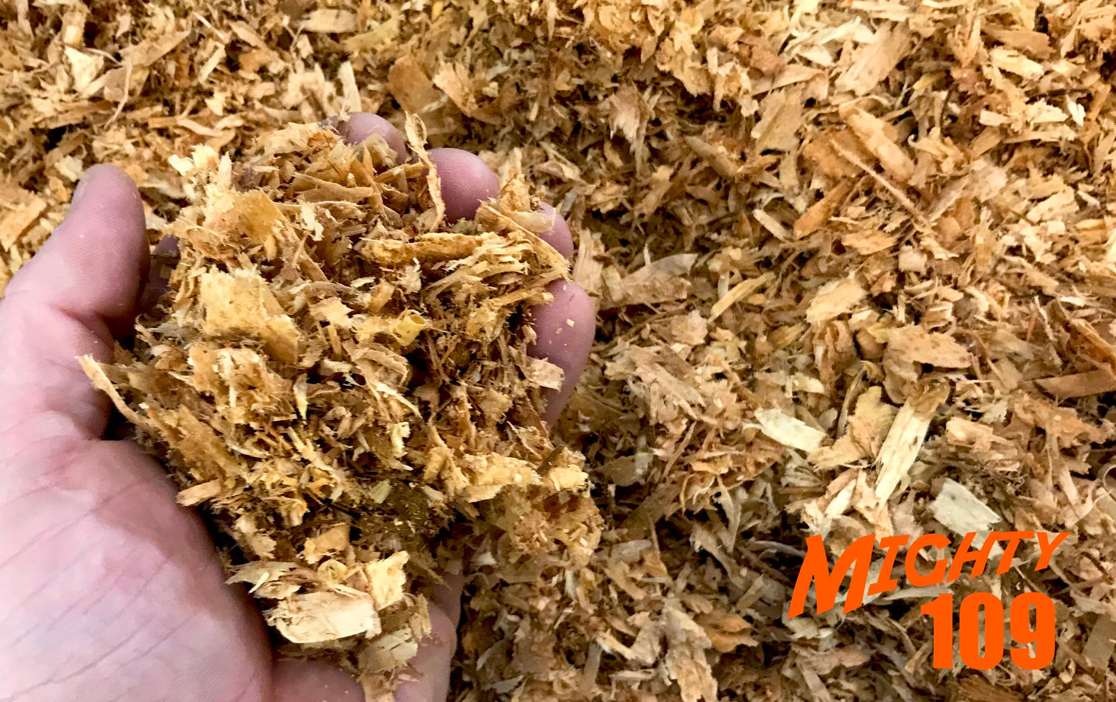 Mighty 109 Cedar Shavings