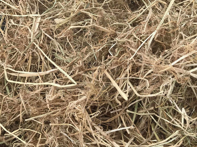 Mighty109 Rice Straw Mulch