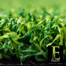 Poly Putt 2-Tone 15' Wide