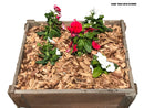 Redwood Chip Mulch 42 Quarts
