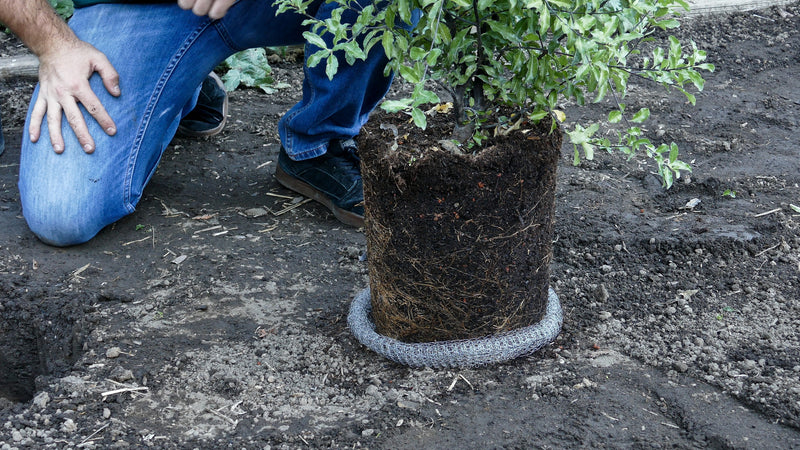 Cestas de velocidad RootGuardTM para excavadoras de 15 galones, cestas de alambre Gopher, paquete de 1