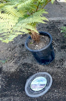 Cestas de velocidad BULK RootGuardTM de 15 galones, cestas de alambre Gopher 36 paquetes (36 cestas en total)