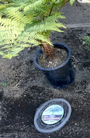 Cestas de velocidad RootGuardTM para excavadoras de 15 galones, cestas de alambre Gopher, paquete de 1