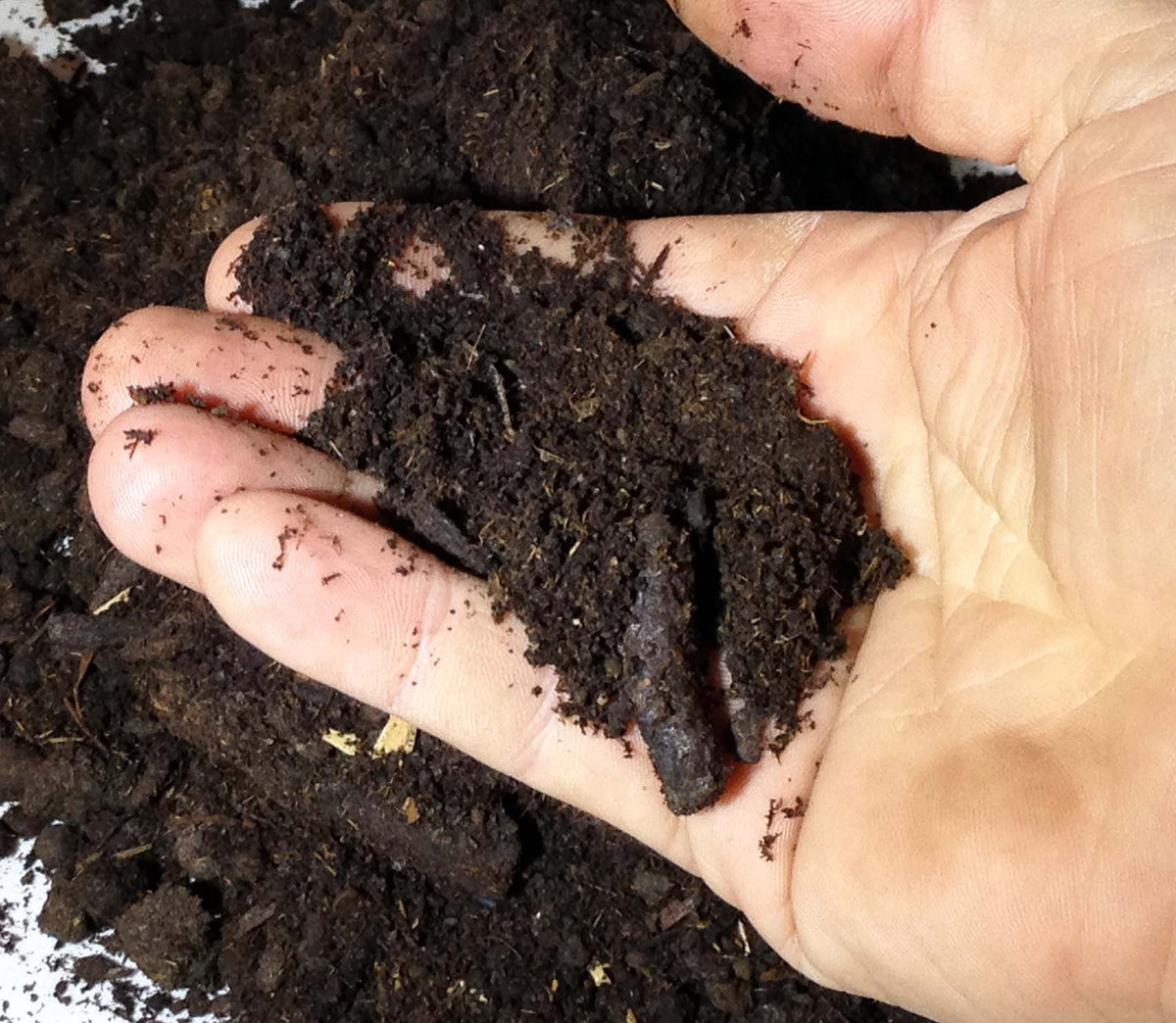 soil mender potting mix 109 Mighty 109 Premium Black Gold Steer Manure