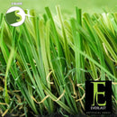 Tacoma Artificial Turf