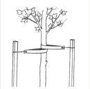 MIGHTY109 Heavy Duty Tree Strap Guying - 200 Feet!