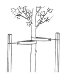 MIGHTY109 12-Inch Heavy Duty Tree Straps, 10 Pack