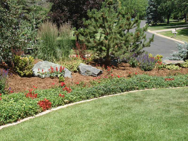 MIGHTY109 Natural Mulch