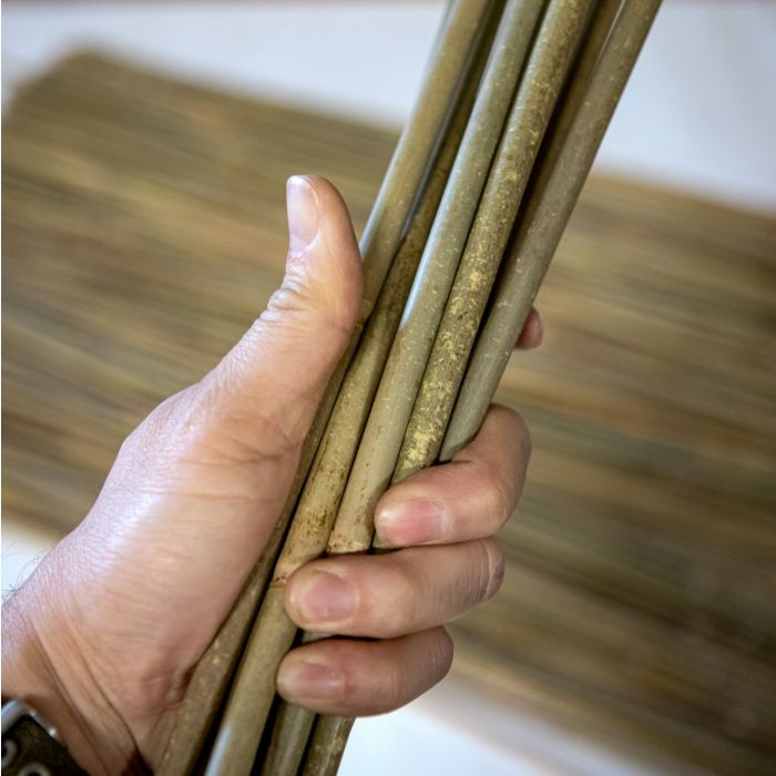 MIGHTY109 Estacas de bambú (4 pies de largo x 3/8"), paquete de 10