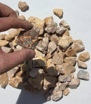 Mighty 109 Carmel Beach 2" to 3" Stones