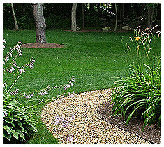 Mighty 109 Saint Augustine Sod - Solo en el sur de California