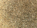 MIGHTY109 Plus Fescue Bluegrass (90/10) Seed Blend 5 LBS (Covers Up to 500 Square Feet)