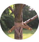 MIGHTY109 Biodegradable 12 Inch Tree Straps, 10 Pack