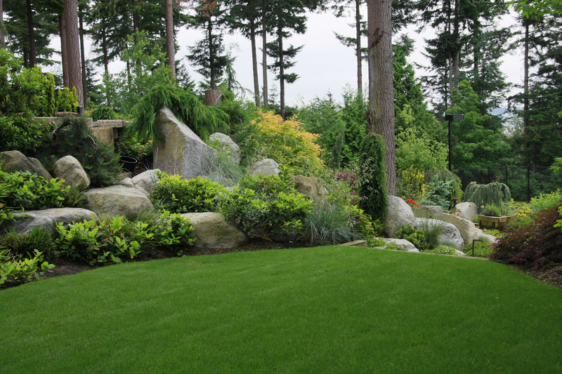 MIGHTY 109 "WOWZA" Sod Preparation Mix - Covers 1,000 Square Feet - The Big Box
